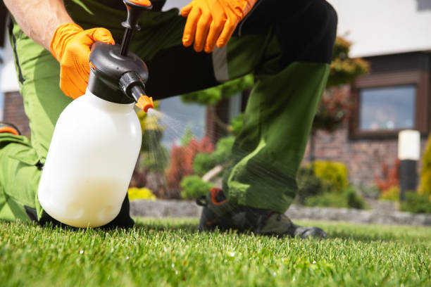 Best Mosquito Control Services  in Coleytown, CT