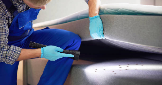 Best Pest Control Treatment  in Coleytown, CT