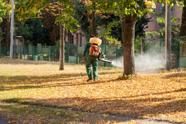 Best Best Pest Control Companies  in Coleytown, CT