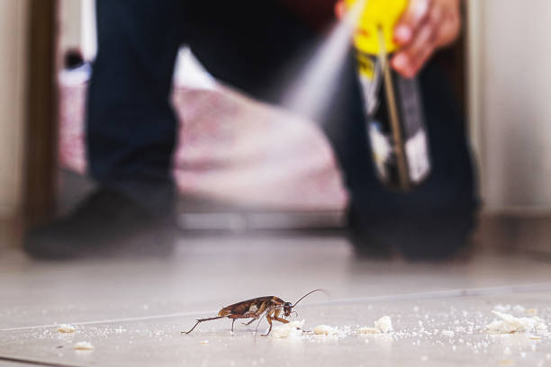 Best Pest Inspection Near Me  in Coleytown, CT