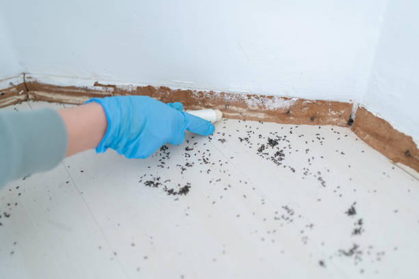 Best Mosquito Control Services  in Coleytown, CT