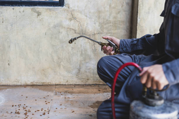 Professional Pest Control in Coleytown, CT